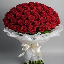 Букет 101 Красная роза Блэк Мэджик в Кашин
