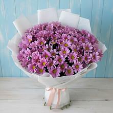 Букет цветов из:  Хризантемы в Кашин