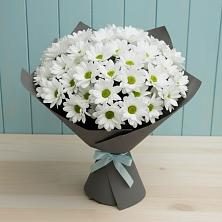 Букет цветов из:  Хризантемы в Кашин