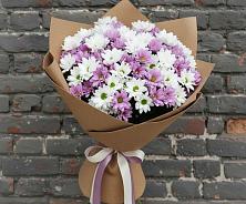 Букет цветов из:  Хризантемы в Кашин