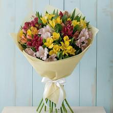 Букет цветов из:  Альстромерии в Кашин