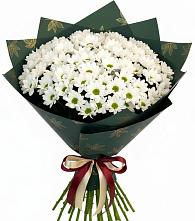 Букет цветов из:  Хризантемы в Кашин