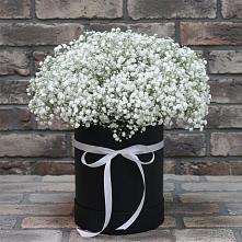 Цветочная композиция из Гипсофила в шляпной коробке в Кашин