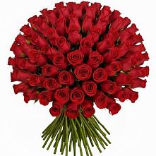 Букет Красные розы Чери Лав в Кашин