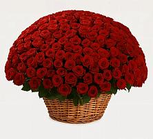 Премиум букет из: Розы в Кашин