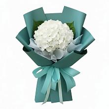 Букет цветов из:  Гортензия в Кашин